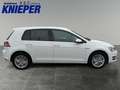 Volkswagen Golf Comfortline Golf 1.2 TSI Weiß - thumbnail 6