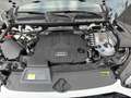 Audi Q5 3.0 TDI S line quattro RFK Matrix 50 TDI quattr... Weiß - thumbnail 19