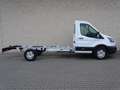 Ford Transit L4H1 350 2.0 TDCI Trend Chassis Cabine FWD | Cruis Wit - thumbnail 6