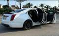Cadillac CTS V / 649hp / Full Carbon / EU Model Blanco - thumbnail 22