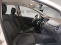 Fiat Punto 5p 1.3 mjt Lounge s Bianco - thumbnail 14