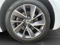 Skoda Enyaq 80X 4x4 SportLine Wärmep+Pano+ACC+HuD+20"+ Blanco - thumbnail 8
