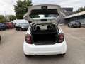 Chevrolet Aveo Schrägheck LT+*KLIMA*TEMP*ORG.126TSKM*ALU Weiß - thumbnail 10