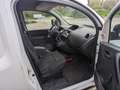 Renault Kangoo 1.5 dCi 75 Expr.Comf Blanc - thumbnail 11