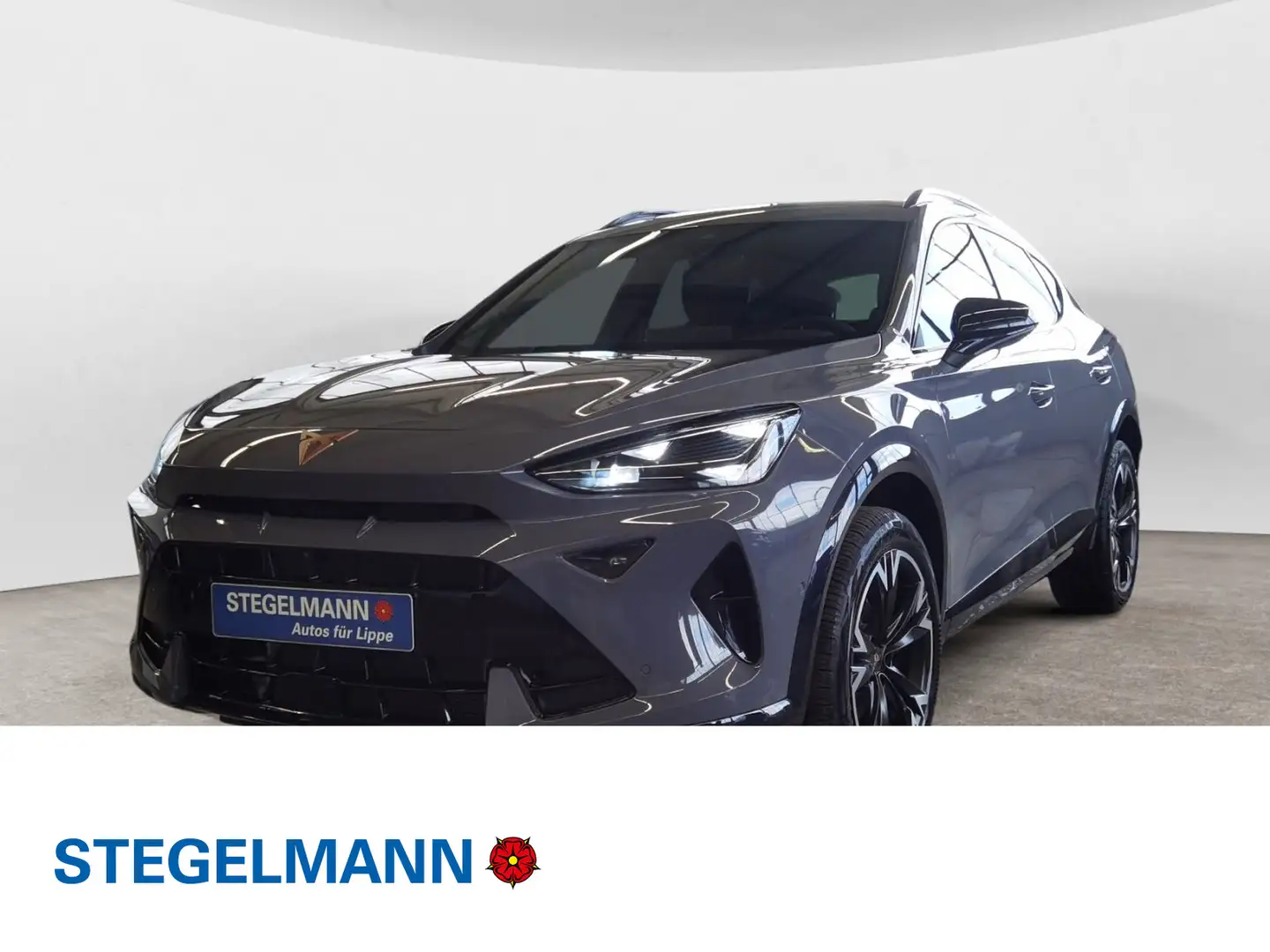 CUPRA Formentor 2.0 TDI DSG AHK Sennheiser Top View Ka Gris - 1