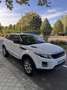 Land Rover Range Rover Evoque 2.0L Si4 Pure 4x4 Aut. - thumbnail 3