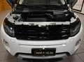 Land Rover Range Rover Evoque 2.2 SD4 DYNAMIC 190CV 6M XENO 19"PELLE FULL AFFARE Weiß - thumbnail 50