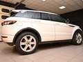 Land Rover Range Rover Evoque 2.2 SD4 DYNAMIC 190CV 6M XENO 19"PELLE FULL AFFARE Weiß - thumbnail 7