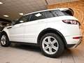 Land Rover Range Rover Evoque 2.2 SD4 DYNAMIC 190CV 6M XENO 19"PELLE FULL AFFARE Weiß - thumbnail 8