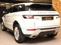 Land Rover Range Rover Evoque 2.2 SD4 DYNAMIC 190CV 6M XENO 19"PELLE FULL AFFARE Weiß - thumbnail 3
