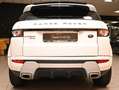 Land Rover Range Rover Evoque 2.2 SD4 DYNAMIC 190CV 6M XENO 19"PELLE FULL AFFARE Weiß - thumbnail 6
