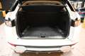 Land Rover Range Rover Evoque 2.2 SD4 DYNAMIC 190CV 6M XENO 19"PELLE FULL AFFARE Weiß - thumbnail 14