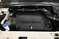 Land Rover Range Rover Evoque 2.2 SD4 DYNAMIC 190CV 6M XENO 19"PELLE FULL AFFARE Weiß - thumbnail 15