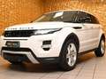 Land Rover Range Rover Evoque 2.2 SD4 DYNAMIC 190CV 6M XENO 19"PELLE FULL AFFARE Weiß - thumbnail 1