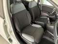 Fiat Panda 1.2 Easy 69cv    IVA ESPOSTA Weiß - thumbnail 13