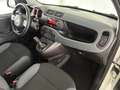 Fiat Panda 1.2 Easy 69cv    IVA ESPOSTA Weiß - thumbnail 8