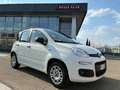 Fiat Panda 1.2 Easy 69cv    IVA ESPOSTA Weiß - thumbnail 1