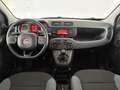 Fiat Panda 1.2 Easy 69cv    IVA ESPOSTA Weiß - thumbnail 9