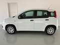 Fiat Panda 1.2 Easy 69cv    IVA ESPOSTA Weiß - thumbnail 4