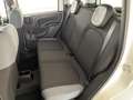 Fiat Panda 1.2 Easy 69cv    IVA ESPOSTA Weiß - thumbnail 14