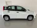 Fiat Panda 1.2 Easy 69cv    IVA ESPOSTA Weiß - thumbnail 5