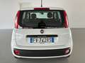Fiat Panda 1.2 Easy 69cv    IVA ESPOSTA Weiß - thumbnail 6
