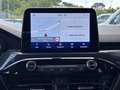 Ford Kuga 2.0 EcoBlue 120 CV aut. 2WD ST-Line Grigio - thumbnail 13