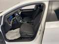 Volkswagen Golf 1.0 eTSI EVO DSG Life Blanc - thumbnail 12