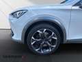 CUPRA Formentor 2.0 VZ 4Drive*Navi*LED*Kamera*Kessy* Weiß - thumbnail 11