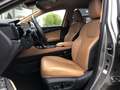 Lexus NX 450h+ Plug-In AWD Launch Edition | Head up display, Groo Grijs - thumbnail 19
