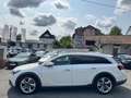 Opel Insignia A Country Tourer Basis 4x4 Weiß - thumbnail 10