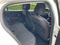 Peugeot 208 1.2 PureTech Active-102PK-NL auto-Carplay-Parkeerh Wit - thumbnail 10