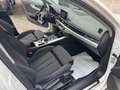 Audi A4 allroad 2.0 TDI 190 CV S tronic Blanc - thumbnail 17