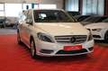 Mercedes-Benz B 180 Bi-Xenon*Rückfahrk*Kllima*6Gang* Weiß - thumbnail 3