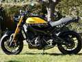 Yamaha XSR 900 60th Jaune - thumbnail 2