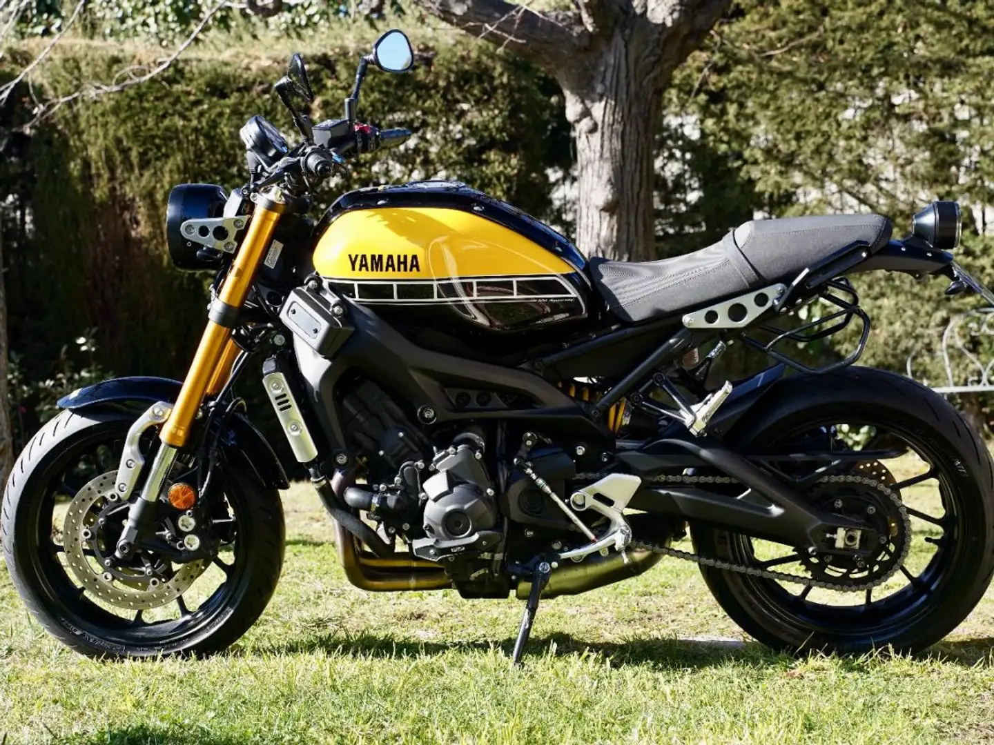 Yamaha XSR 900 60th Jaune - 2