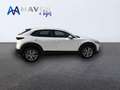 Mazda CX-30 2.0 Skyactiv-G Evolution 2WD 90kW Blanco - thumbnail 7