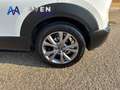 Mazda CX-30 2.0 Skyactiv-G Evolution 2WD 90kW Blanco - thumbnail 10