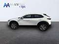 Mazda CX-30 2.0 Skyactiv-G Evolution 2WD 90kW Blanco - thumbnail 4