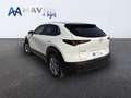 Mazda CX-30 2.0 Skyactiv-G Evolution 2WD 90kW Blanco - thumbnail 5