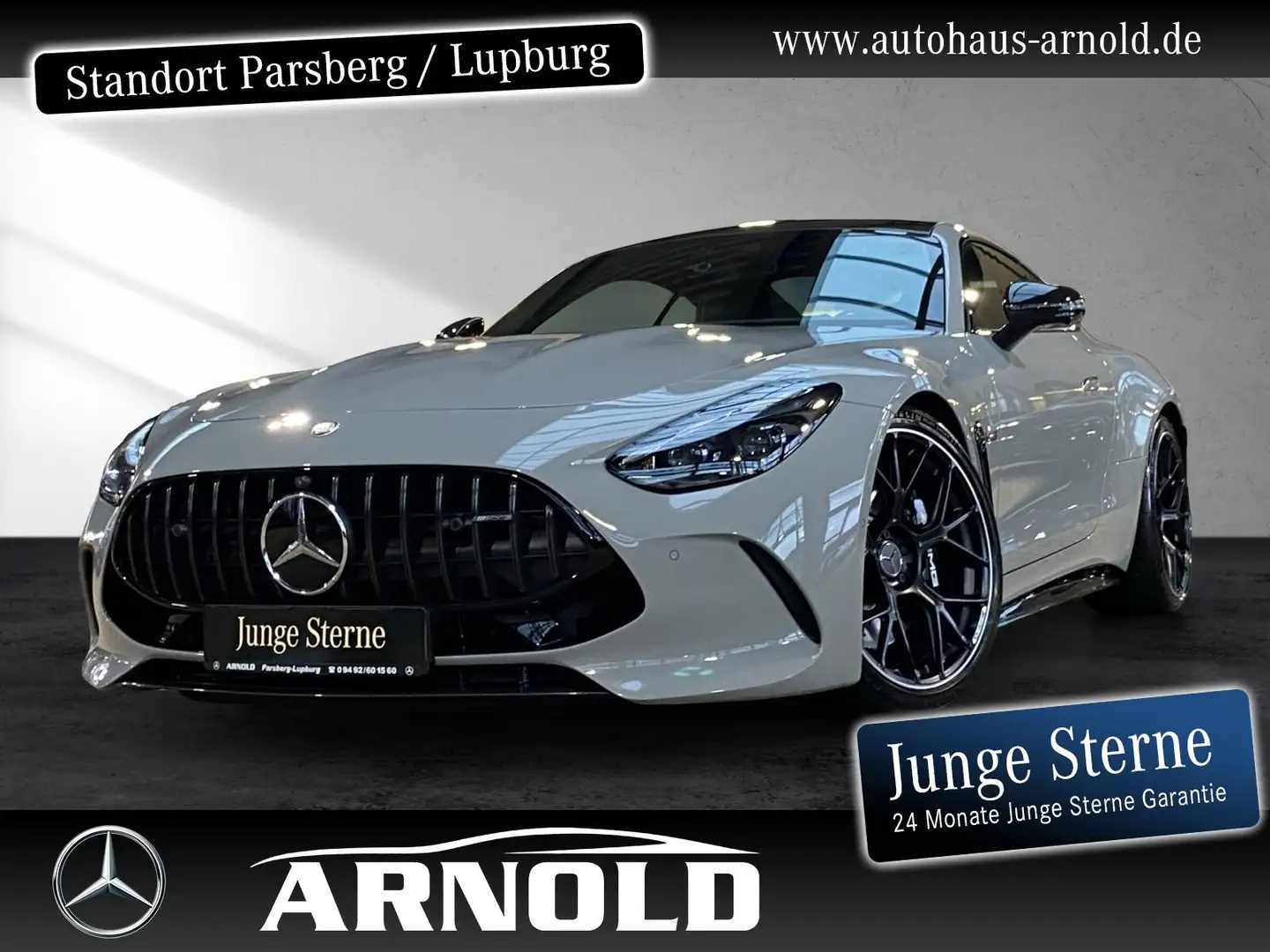 Mercedes-Benz AMG GT Mercedes-AMG GT 63 4M+ Carbon-P Leder Perf-Sitze Grau - 1