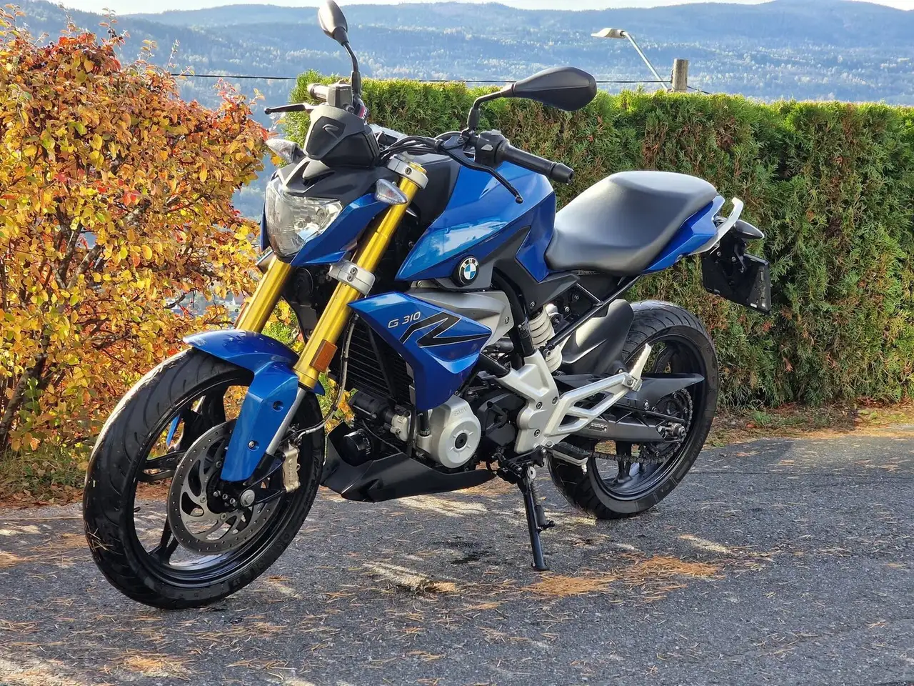 BMW G 310 R