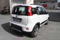 Fiat Panda Panda 1.3 mjt 16v 4x4 75cv E5+ Bianco - thumbnail 7