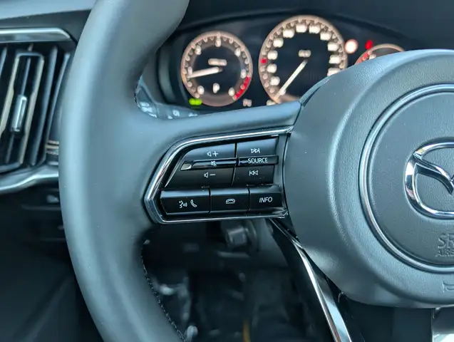 Mazda CX-60 3.3 D254 8AT AWD HOMURA PLUS Leder Ansicht 12