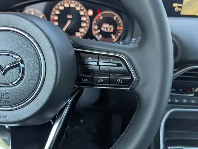 Mazda CX-60 3.3 D254 8AT AWD HOMURA PLUS Leder Ansicht 13