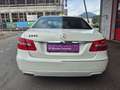 Mercedes-Benz E 220 E 220 CDI BlueEfficiency Weiß - thumbnail 5