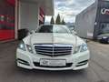 Mercedes-Benz E 220 E 220 CDI BlueEfficiency Weiß - thumbnail 2