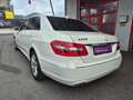 Mercedes-Benz E 220 E 220 CDI BlueEfficiency Weiß - thumbnail 4