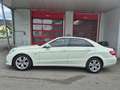Mercedes-Benz E 220 E 220 CDI BlueEfficiency Weiß - thumbnail 8