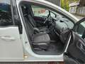 Opel Meriva Meriva 1,4 ecoFlex Color Start(NEUE PICKERL) Weiß - thumbnail 13